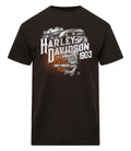H-D® Amman T-Shirt "Evolve"