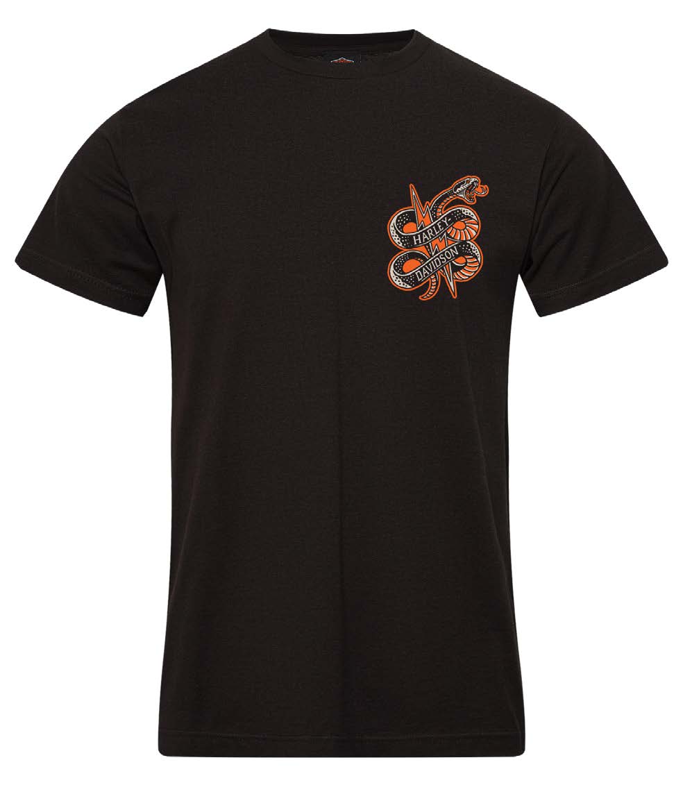 Harley-Davidson® Amman T-Shirt "Struck"